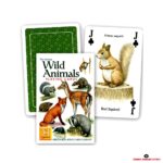Wild Animals28